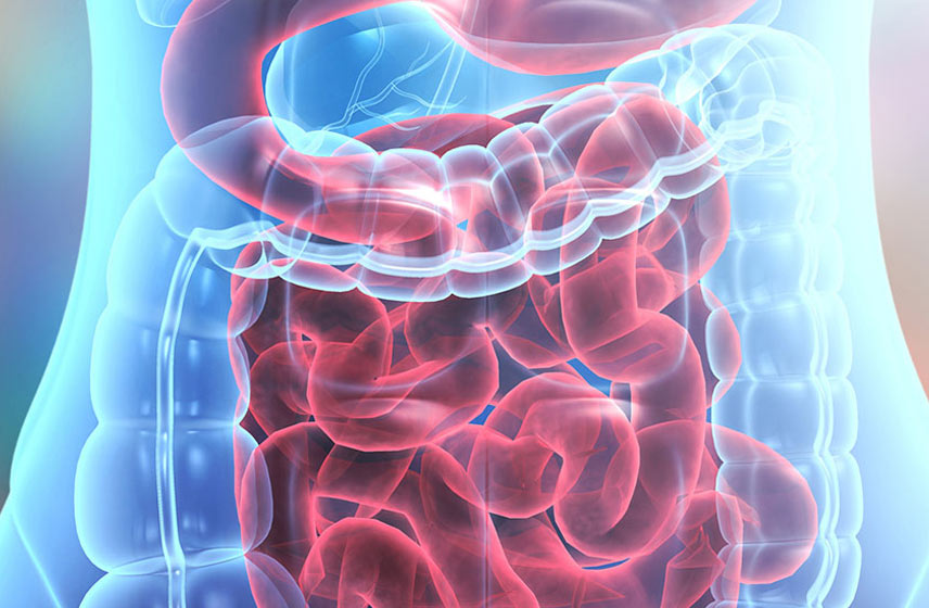 Digestive Disease & Surgery - Cleveland Clinic London