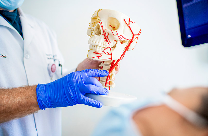 A Cleveland Clinic caregiver showing a lying down patient a model of a skull covered in veins and arteries.